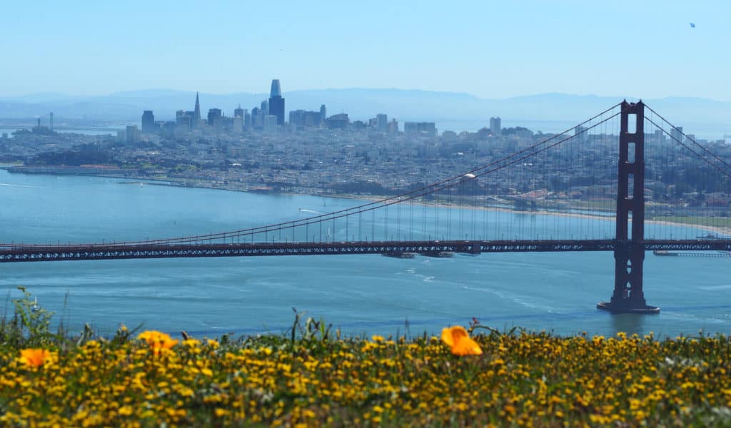 automatic gate repair san francisco