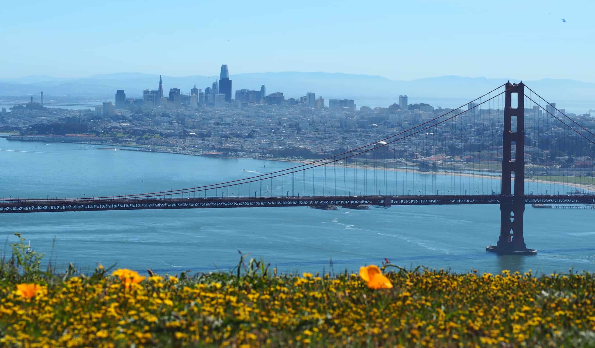 automatic gate repair san francisco